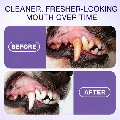 SKAVIX™ Advanced Pet Oral Spray | Fresher Breath, Plaque Biofilm & Gum Care — No Brushing