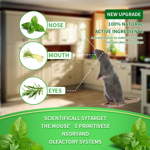 Klyvena™ 12 Pack Peppermint Pest Repellent Balls – Keep Mice, Rats & Spiders Away Naturally