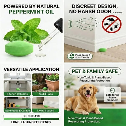 Klyvena™ 12 Pack Peppermint Pest Repellent Balls – Keep Mice, Rats & Spiders Away Naturally